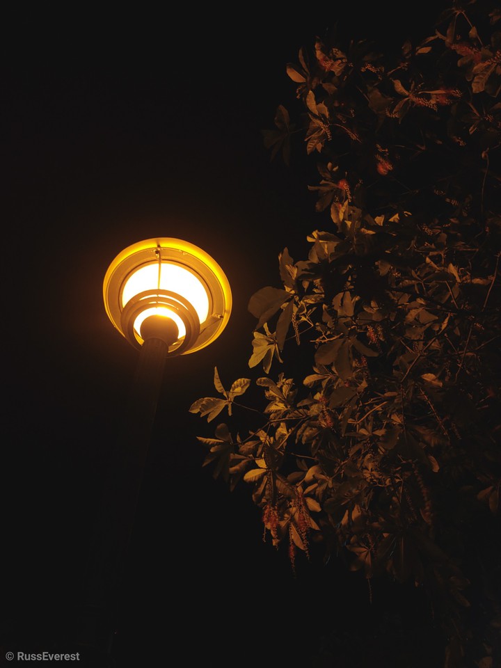 The Golden Light