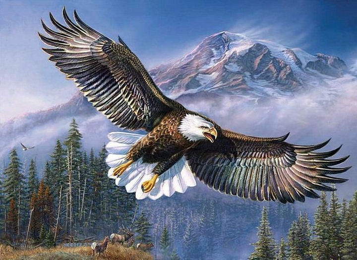 Eagle