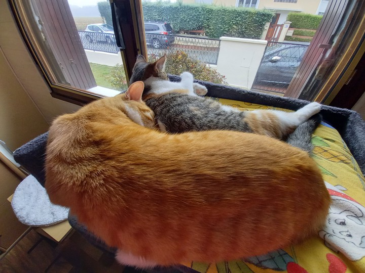 Lino et Léïa.