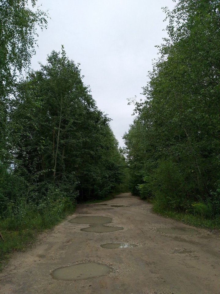 forest path
