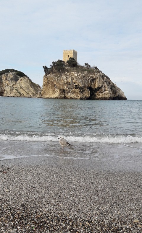 Sea