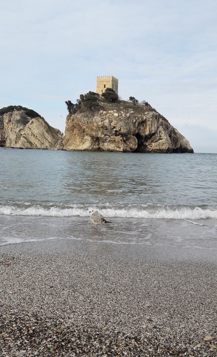Sea