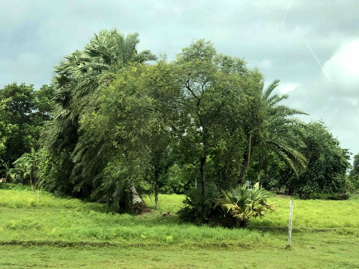 rains and nature