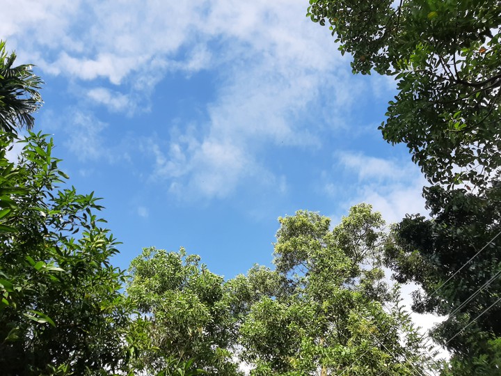 Clouds in the midst of greenery