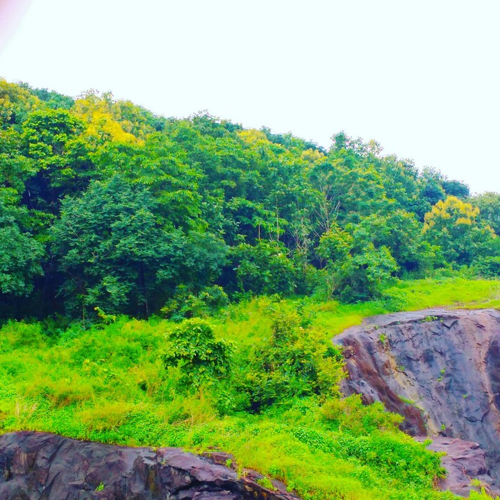 natiural photo