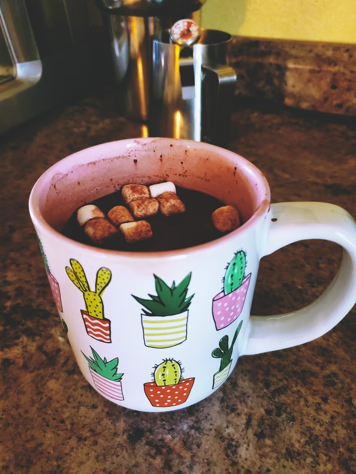 hot chocolate cactus