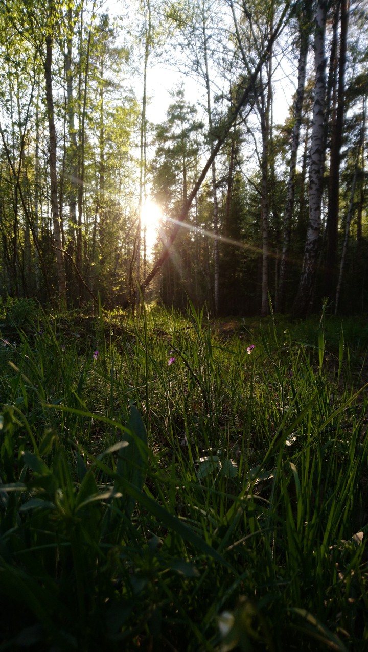 Sun