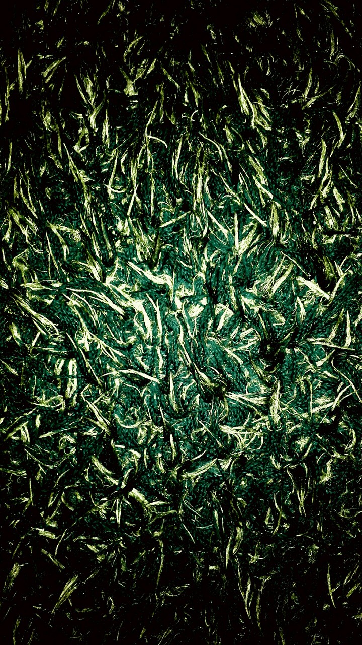 Abstract
