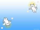 猫天使 Cat angel