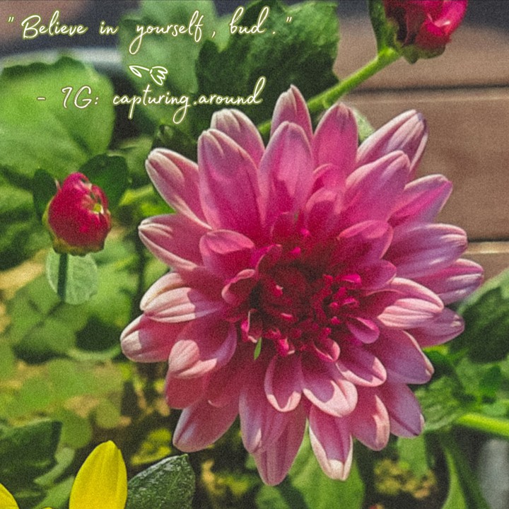 Quote