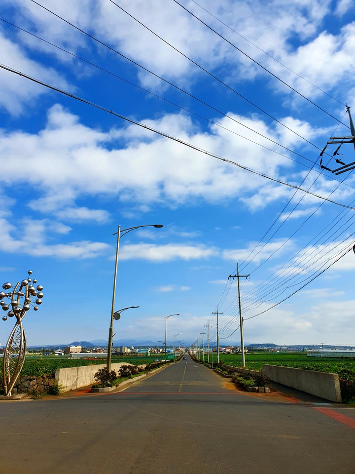 jeju island