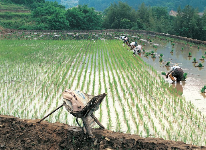 산업