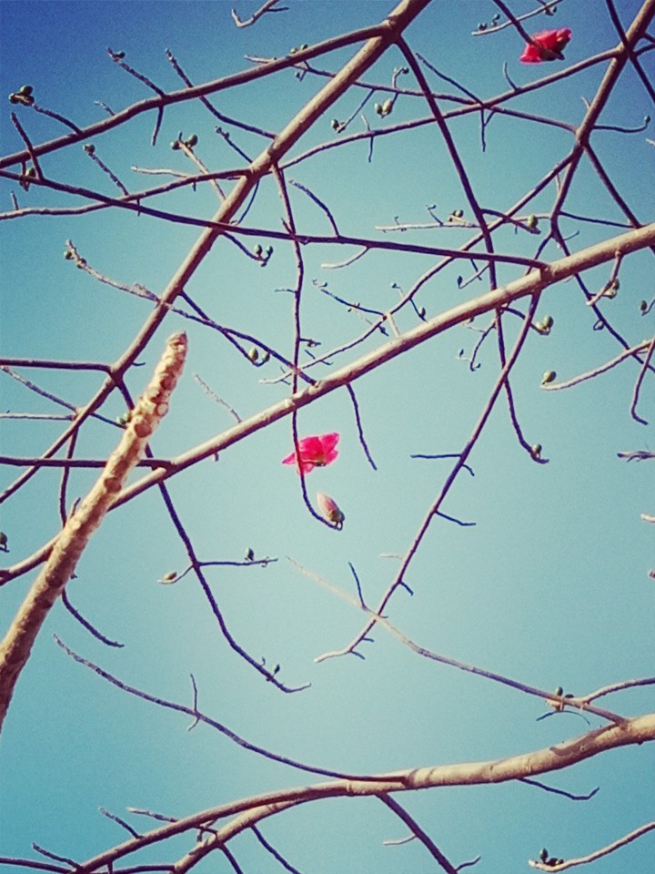Alone