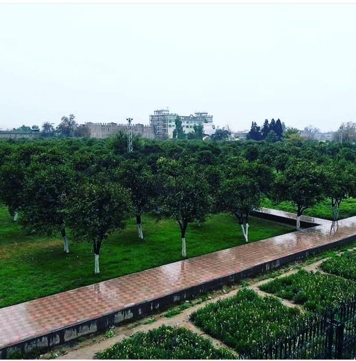 " وخت او ژوند دومره په بيړه درومي نو راشه! انتظار "