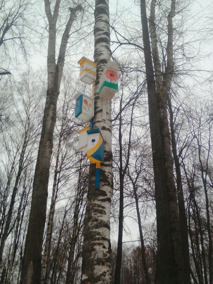 Птички долеко