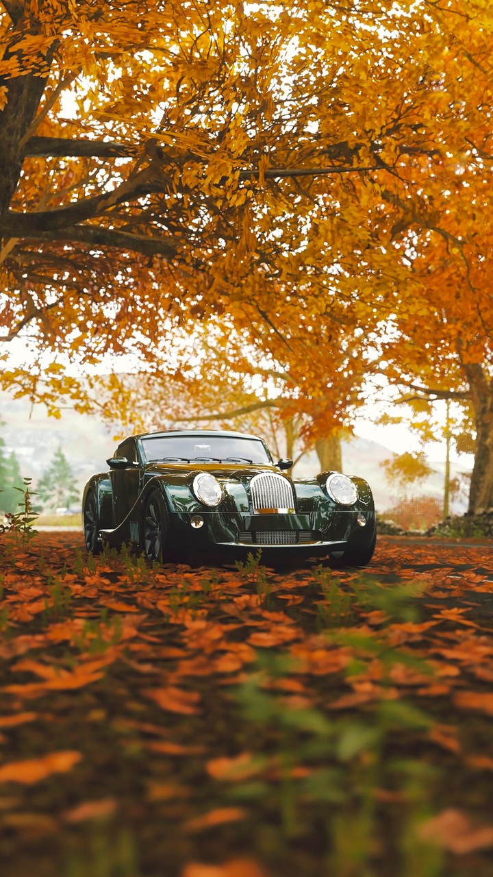 classic car