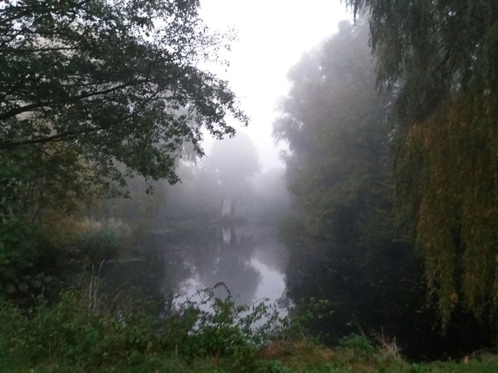 le fog