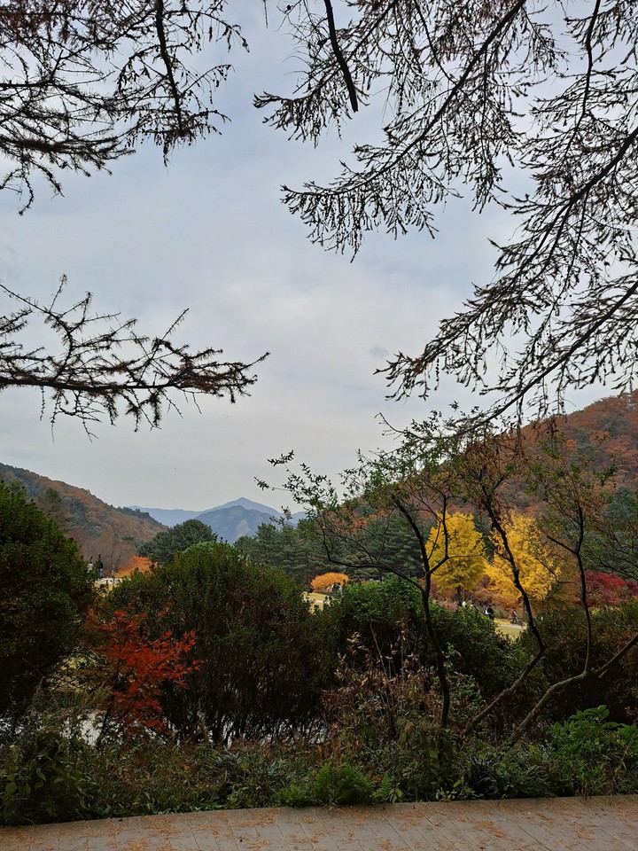 가을풍경