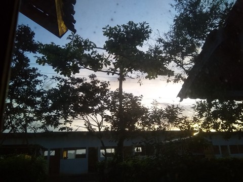 morning trough the windows
