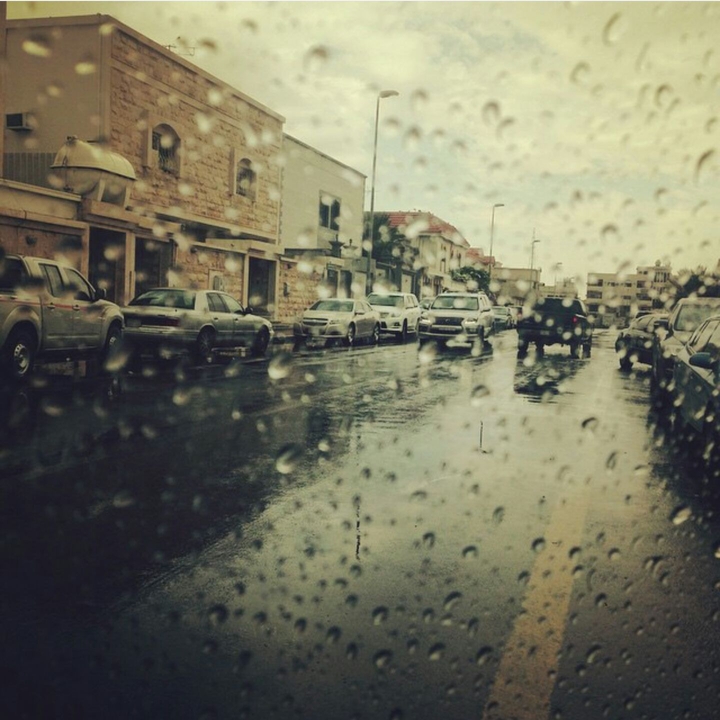 my pictures