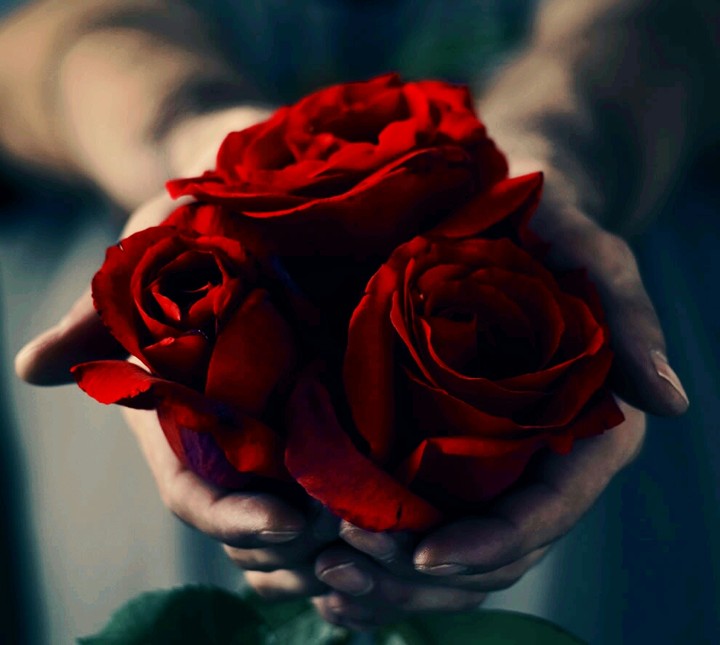 this flowers for all