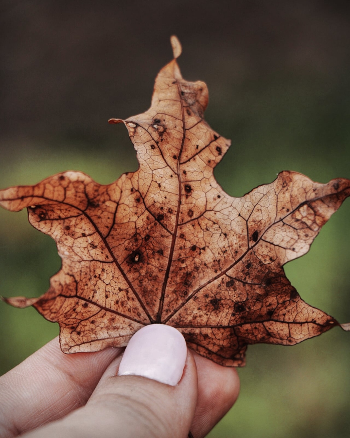 autumn?