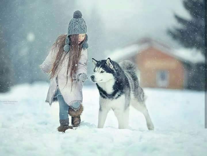 ❄❄⛄