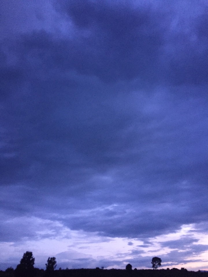 Lovely sunset