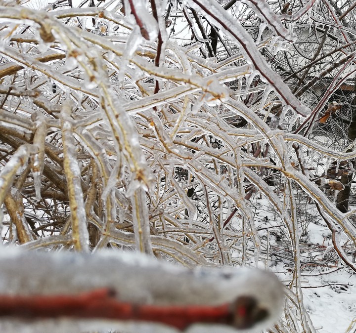 magic winter