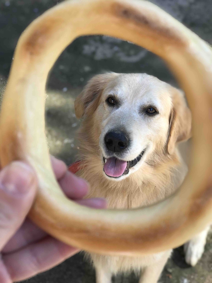 Paşa❤️