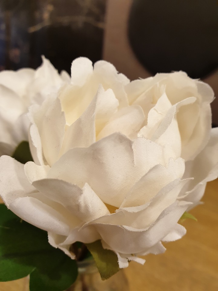 WhiteFlower