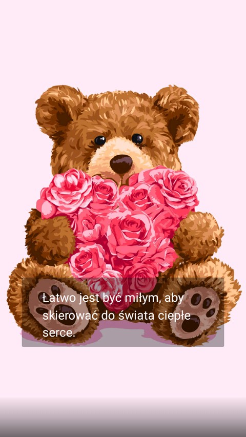 miś