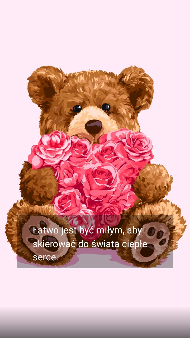 miś