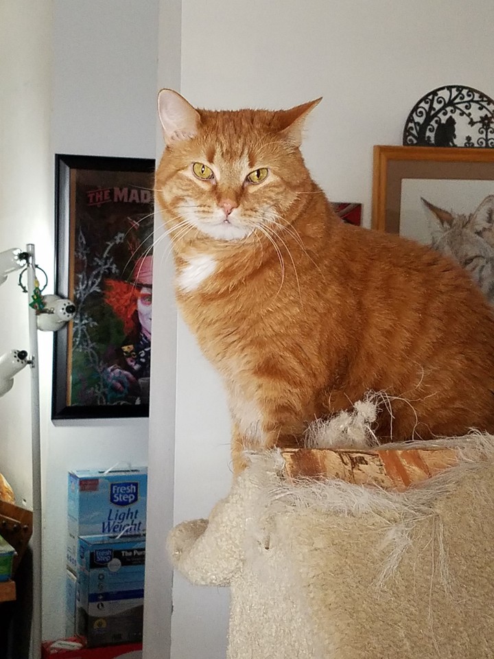 Doc..always photogenic