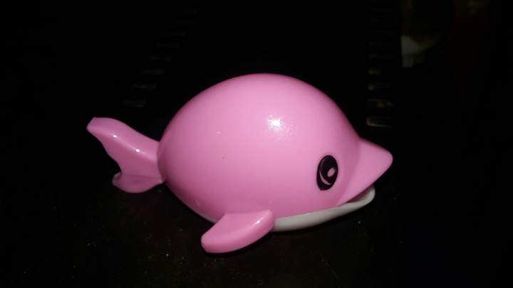Fish