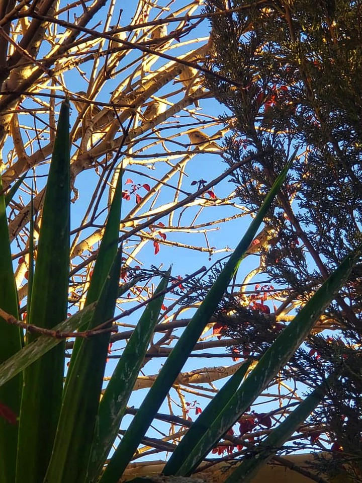 Nature