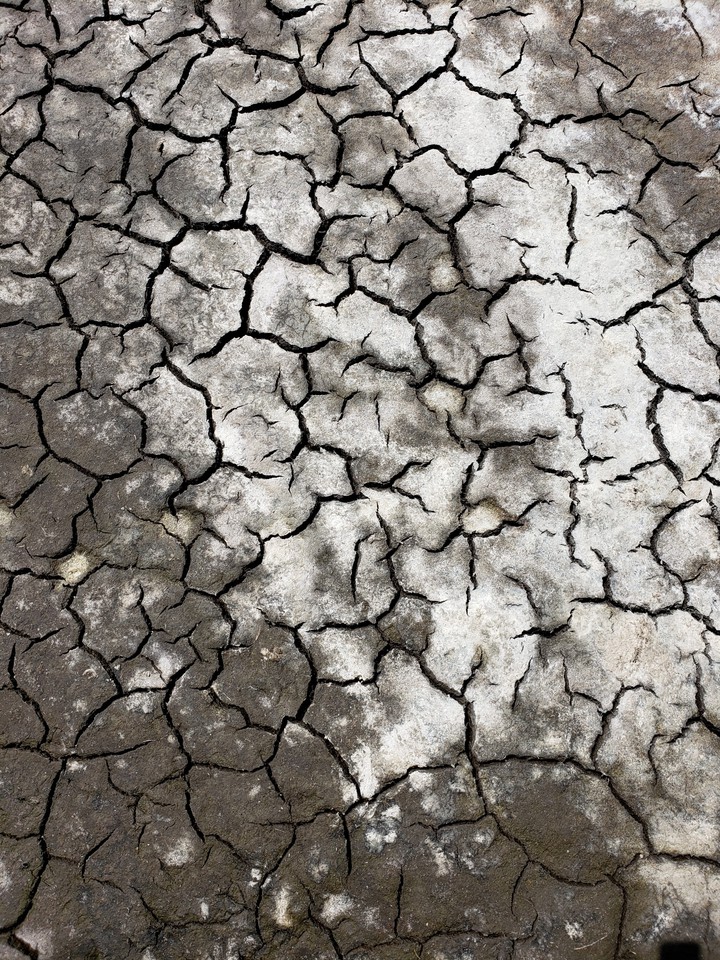 Cracked ground black and white pattern