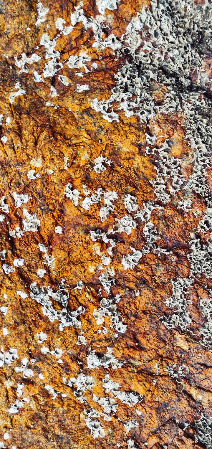 Beach rock