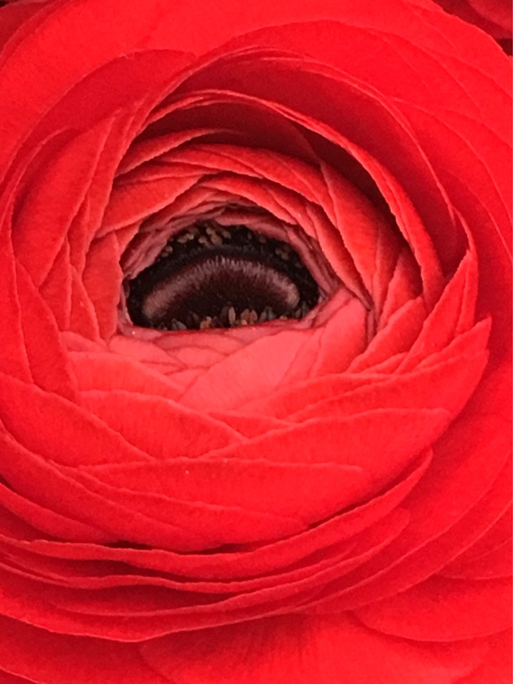 florart