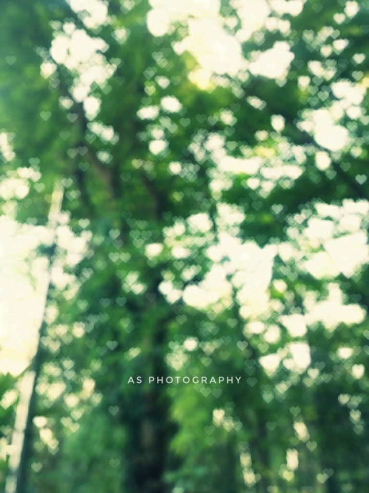 bokeh