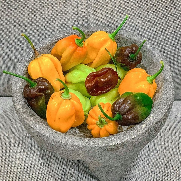 ♥️♥️♥️