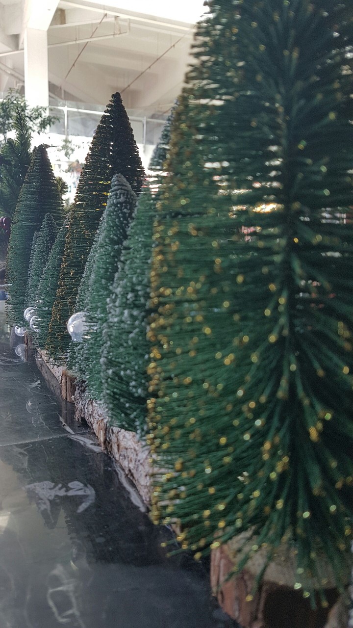 Mini Xmas Tree