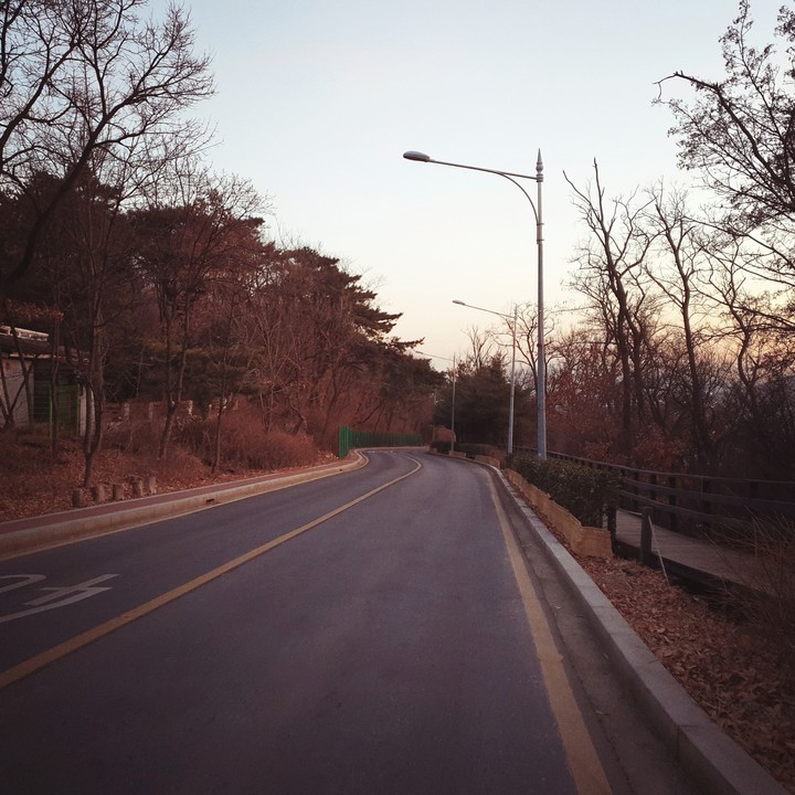 evening