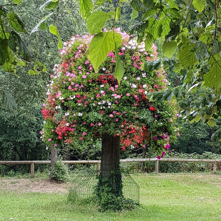 merveille du monde