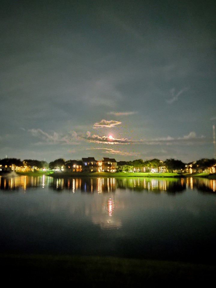 Moonrise