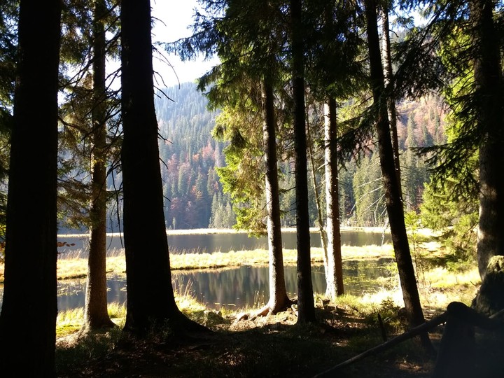See mit Bäumen