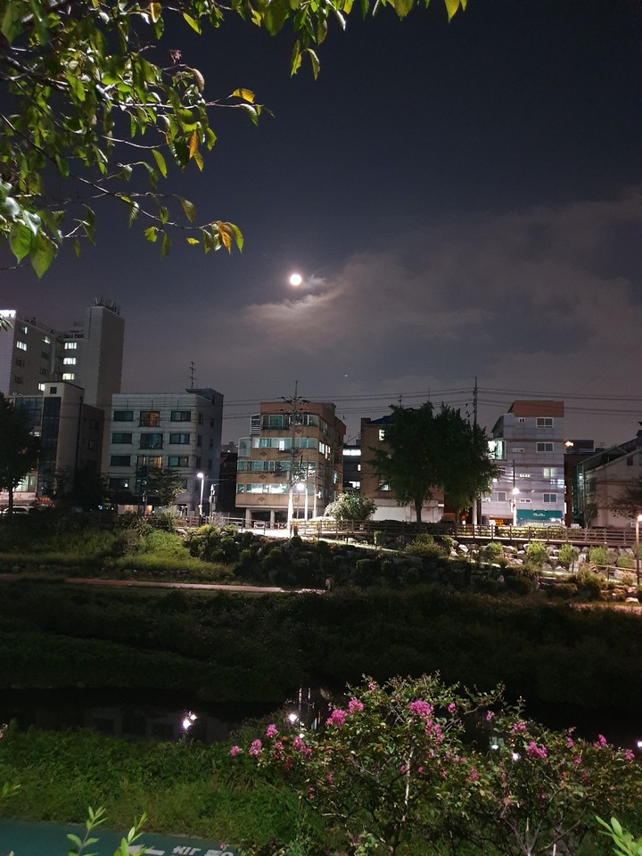 달님