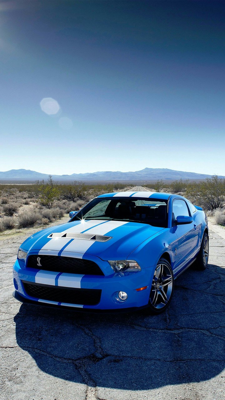 Shelby GT500