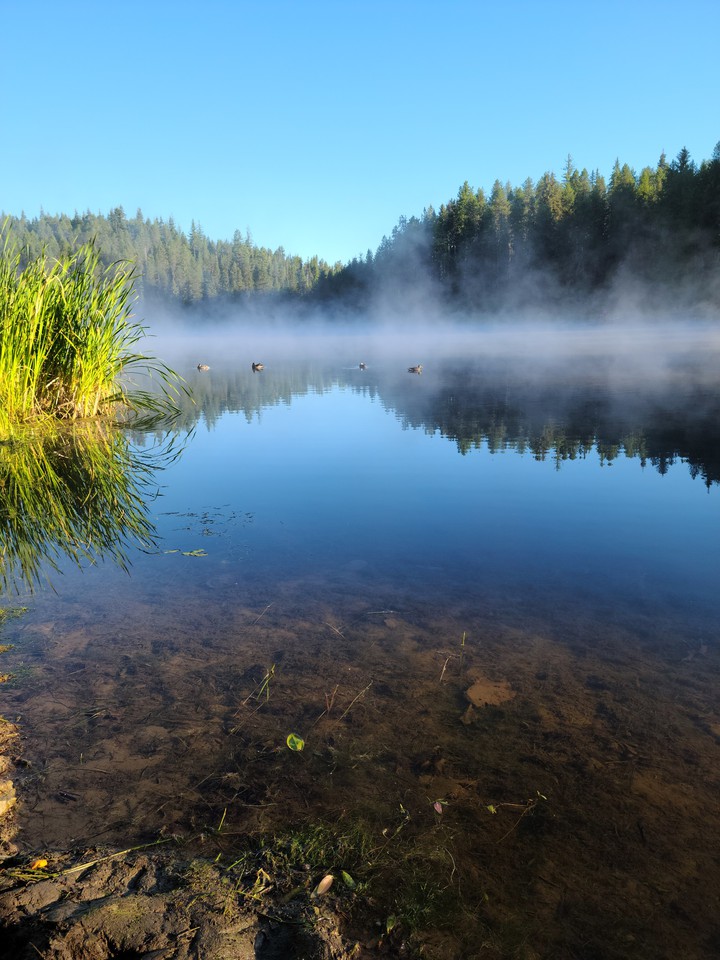 Moose Creek Reservoir