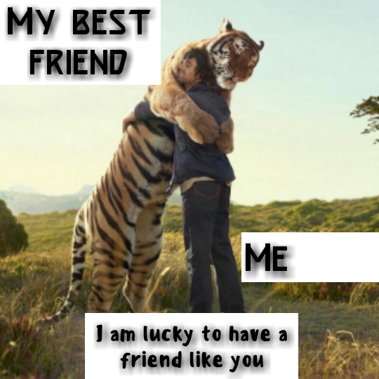 FRIENDSHIP